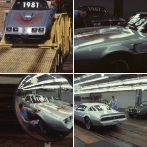 1981 Pontiac Trans Am - Last One Built