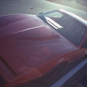 1982 Pontiac Trans Am