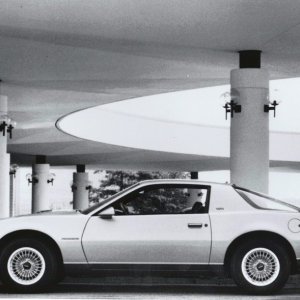 1983 Pontiac Firebird S/E
