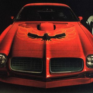 1973 Pontiac Firebird Trans Am