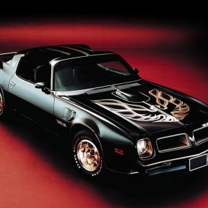 1976 Pontiac Firebird Trans Am 50th Anniversary Black and Gold Edition