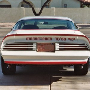 1978 Pontiac Firebird Trans Am Macho T/A by Mecham