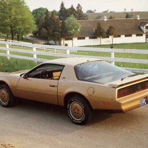 1982 Pontiac Firebird SE Press Photo