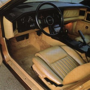 1982 Pontiac Firebird SE Press Photo