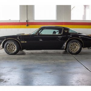 1977 Pontiac Firebird Trans Am - Black and Gold Bandit Edition