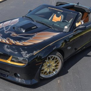 Pontiac Trans Am by Trans Am Depot (Camaro based)