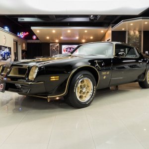 1976 50th Anniversary Pontiac Trans Am Black & Gold