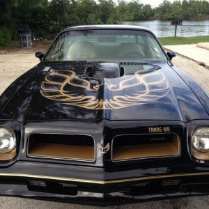 1976 50th Anniversary Pontiac Trans Am Black & Gold