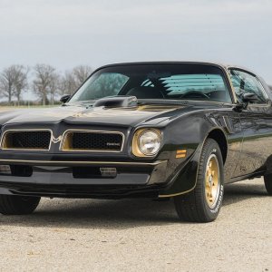 1976 50th Anniversary Pontiac Trans Am Black & Gold