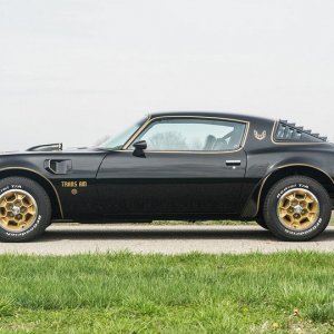 1976 50th Anniversary Pontiac Trans Am Black & Gold