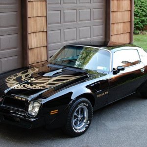 1976 Pontiac Firebird Trans Am Black and Gold