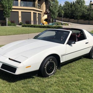 1982 Trans Am