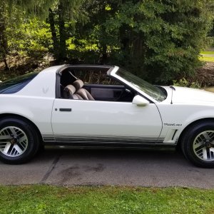 1984 Pontiac Trans Am