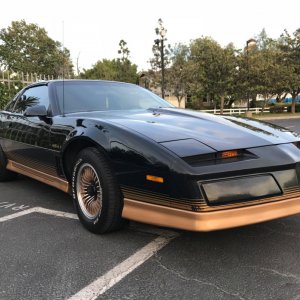 1984 Pontiac Trans Am