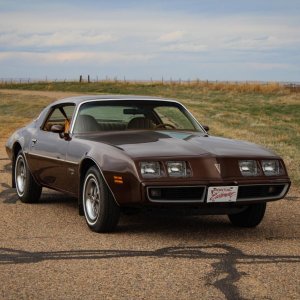 1979 Pontiac Firebird Std