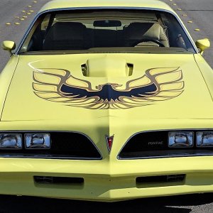 1978 Trans Am Yellow