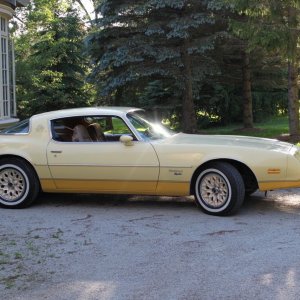 1981 Pontiac Firebird Esprit