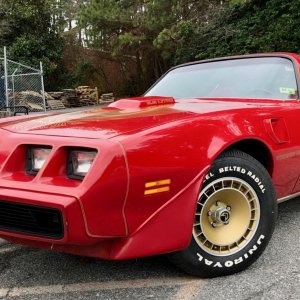 1981 Pontiac Trans Am