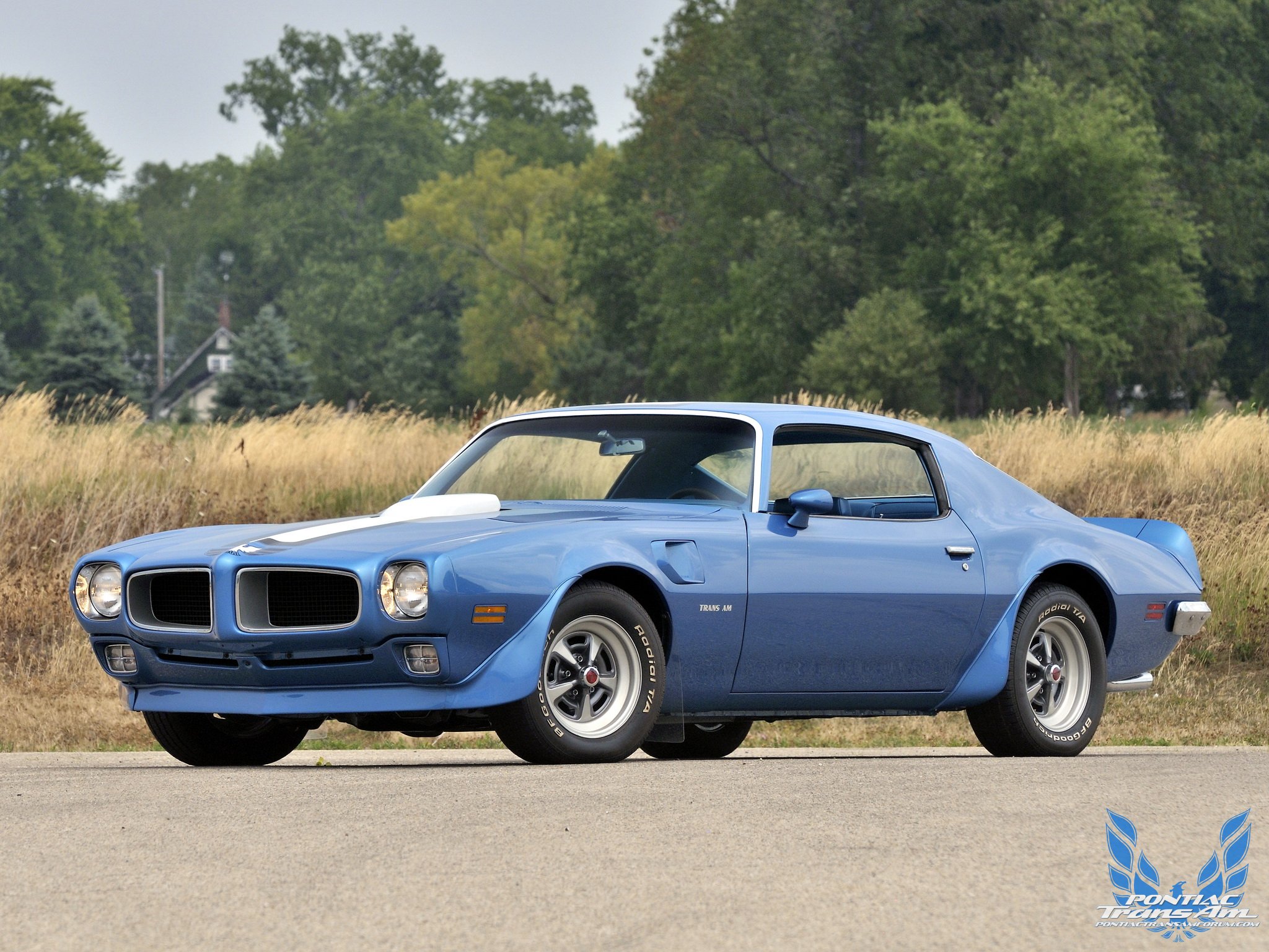 1971 Pontiac Trans AM