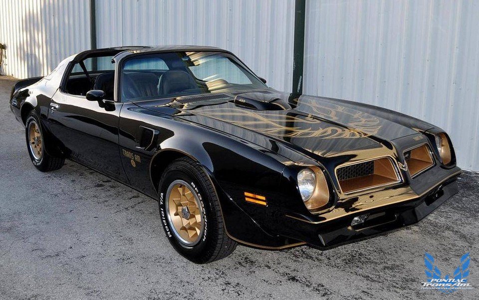 1976 50th Anniversary Pontiac Trans Am Black & Gold