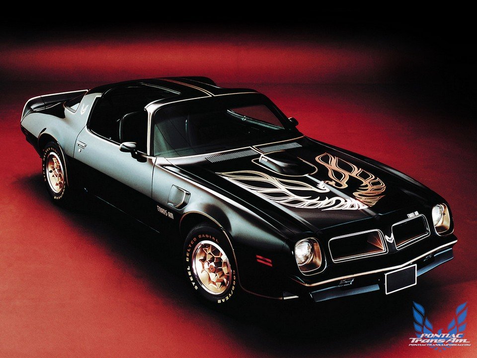 1976 Pontiac Firebird Trans Am 50th Anniversary Black and Gold Edition