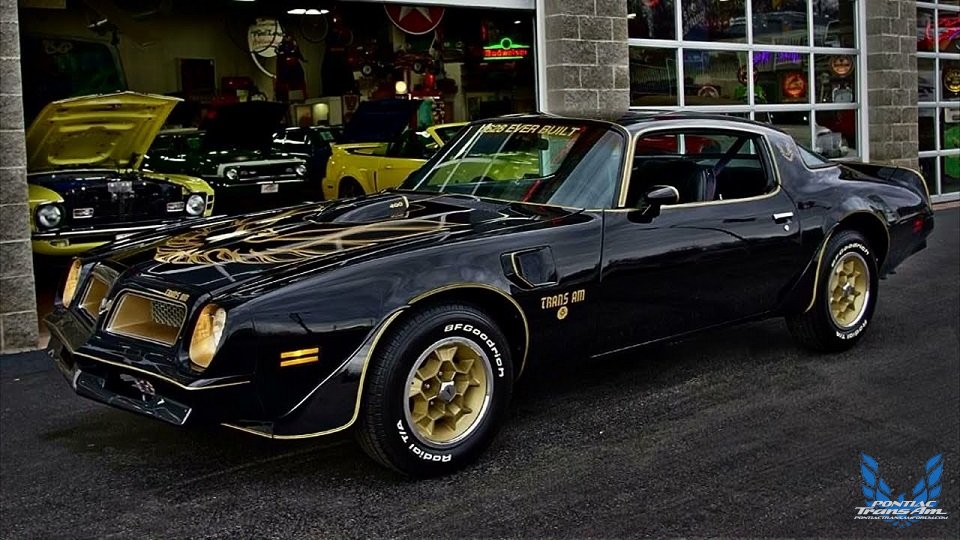 1976 Pontiac Firebird Trans Am Black and Gold