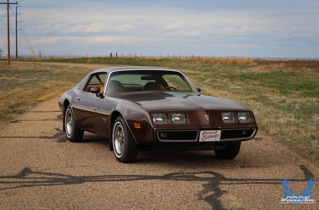 1979 Pontiac Firebird Std