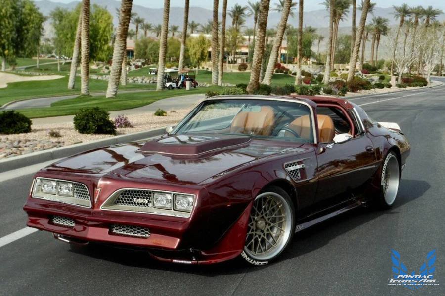 1980 Trans AM Custom