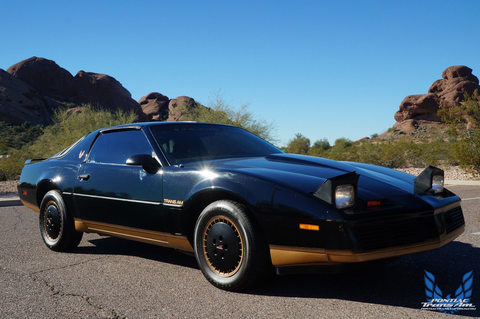 1982 Pontiac Firebird Trans Am