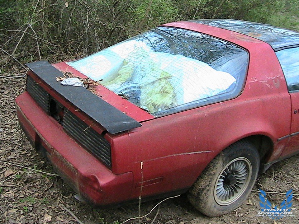 1983 Pontiac Firebird Trans Am Wreck