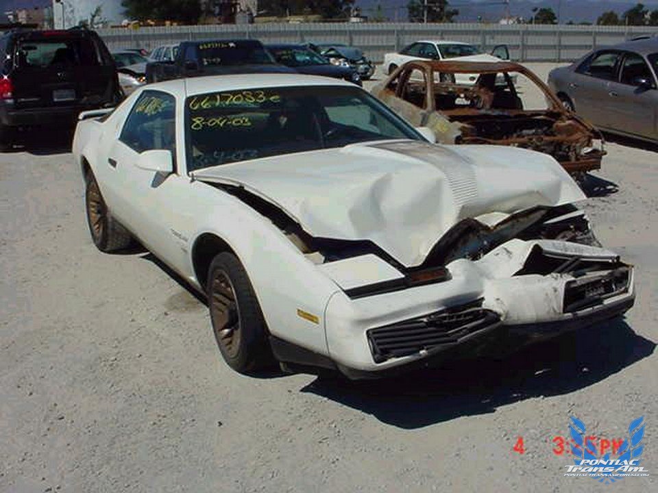 1984 Pontiac Firebird Trans Am Wreck
