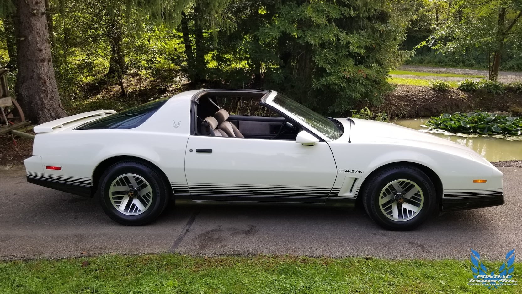 1984 Pontiac Trans Am