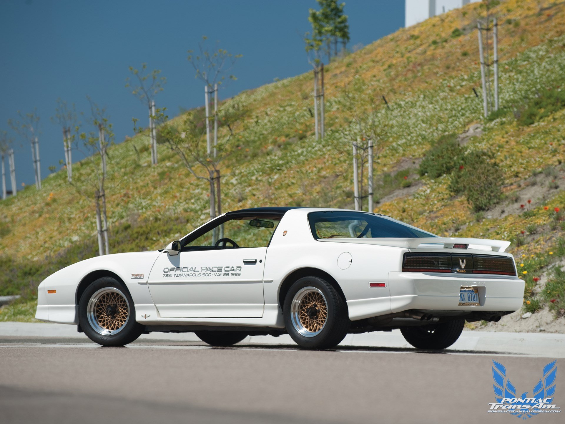 1989 20th Anniversary Trans Am