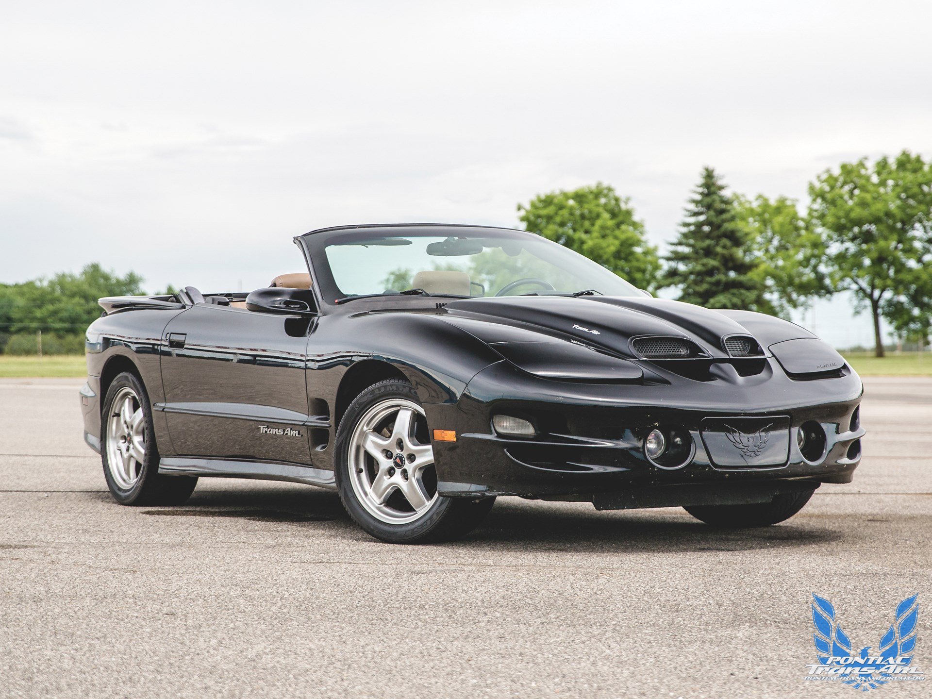 2001 Pontiac Firebird Trans Am