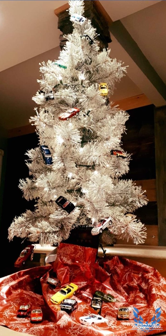 My nice little Christmas tree